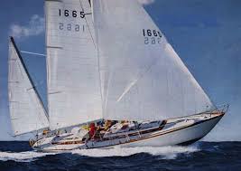 Charley Morgan’s PANACEA